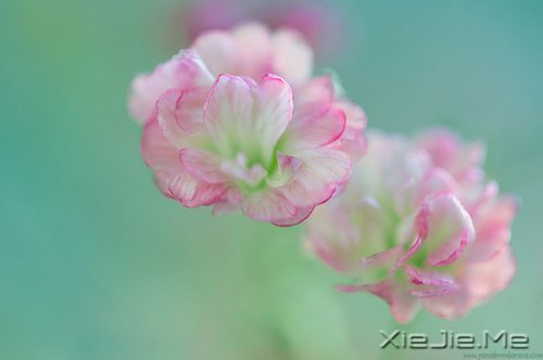 早安心语：收拾心情，重新上路 (2)