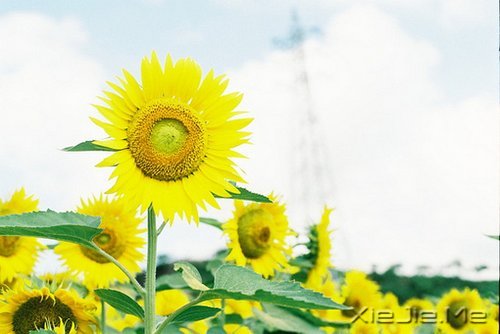 早安心语：收拾心情，重新上路 (3)