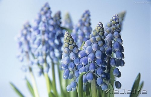 早安心语：收拾心情，重新上路 (6)
