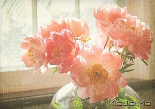 晚安心语：你若不伤，岁月无恙 (2)