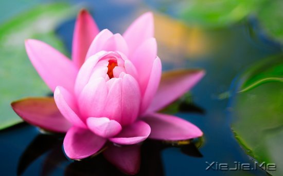 文字：要少做的十件事 (6)
